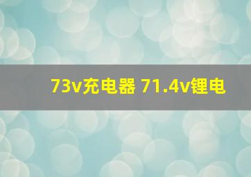 73v充电器 71.4v锂电